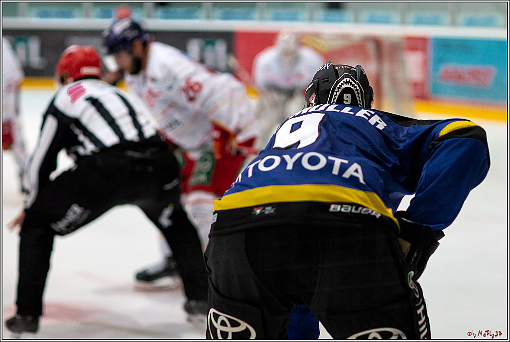 PENNY DEL;  Koelner Haie - Duesseldorfer E.G.; Koeln, 27.08.2021